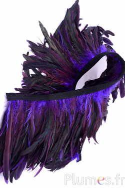 Collo gallo frusta- lungo. piume 20-25 cm - nero-viola